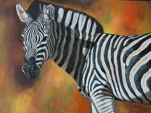 Zebra